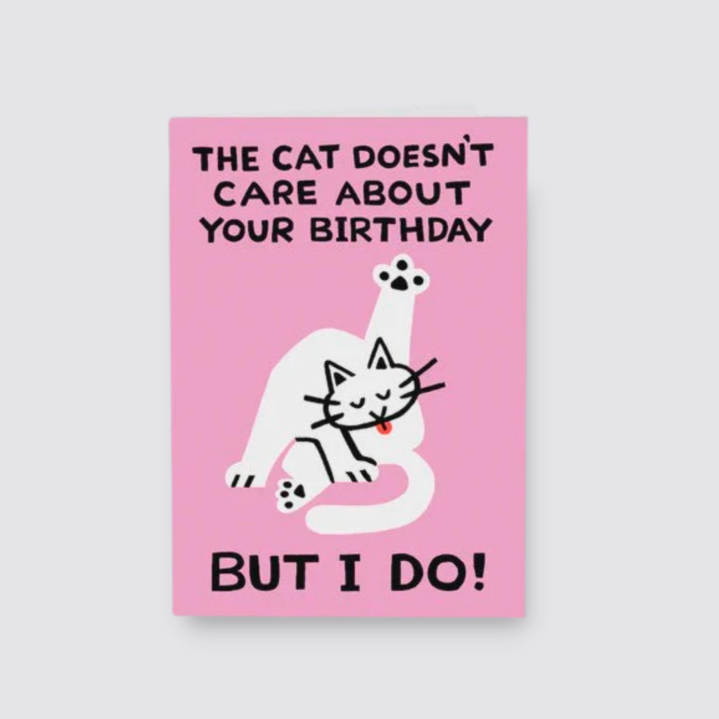 The Cat Doesnt Care Card